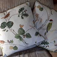 A pair of Cushions by Victoria Fabrics using "Woodland Walk" from Sanderson.